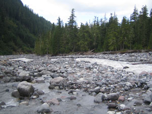 Nisqually River